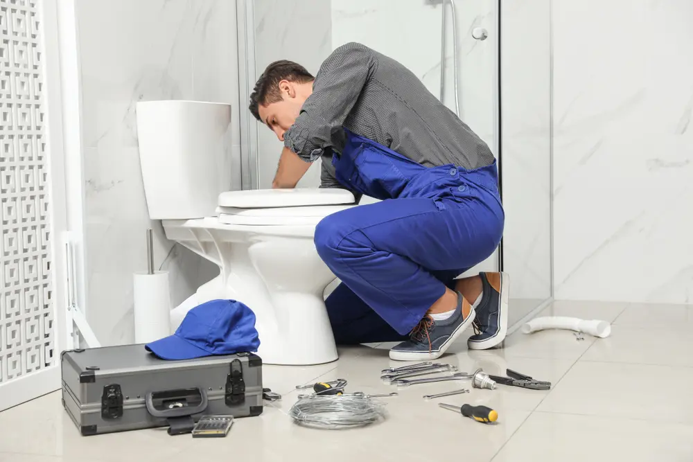 Toilet Installation in The Pinery